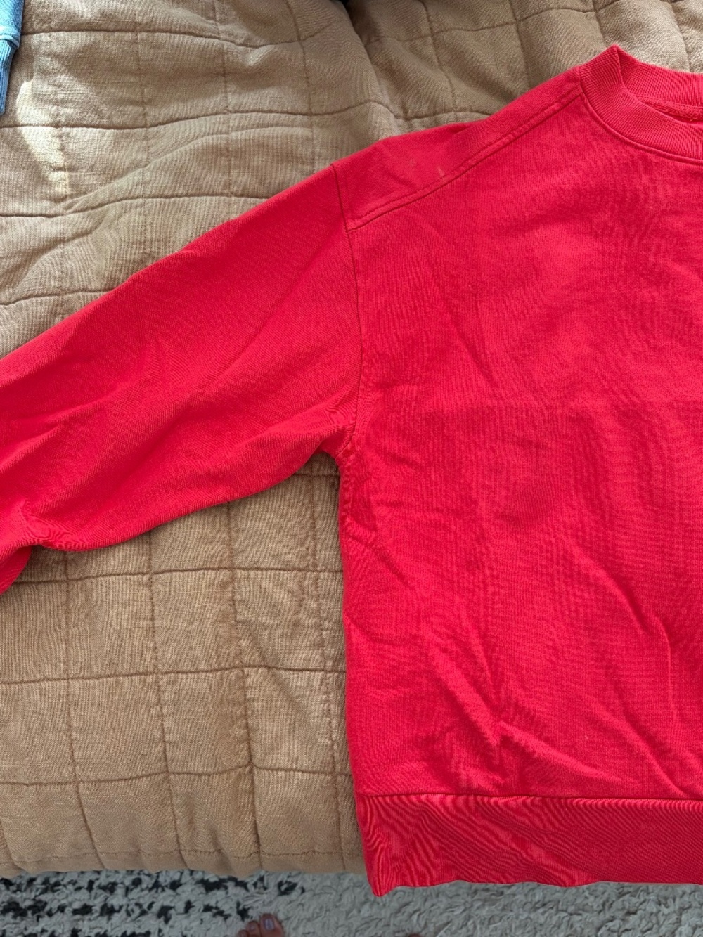 Everlane Organic Cotton Crewneck - Picture 2 of 5